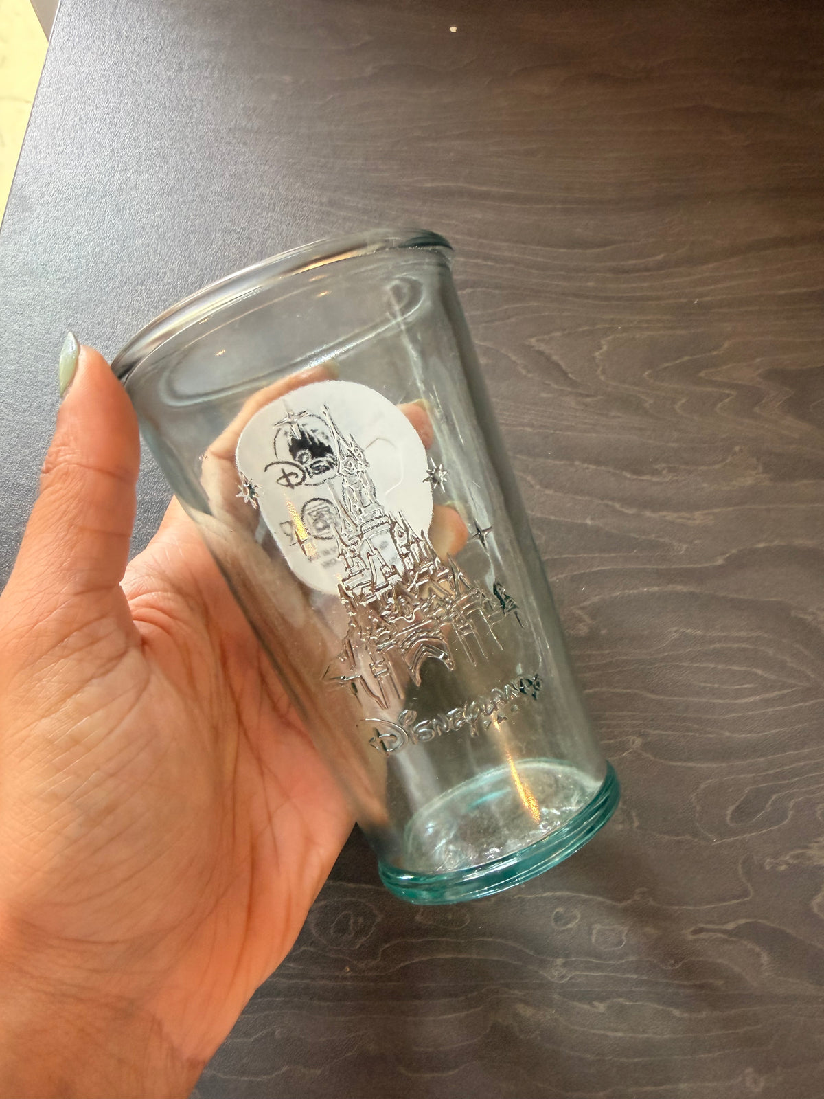 Disneyland Paris castle glass